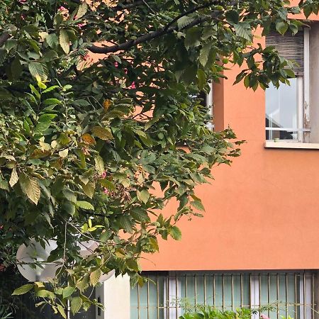 Brera Cocoon Apartment Milan Exterior photo